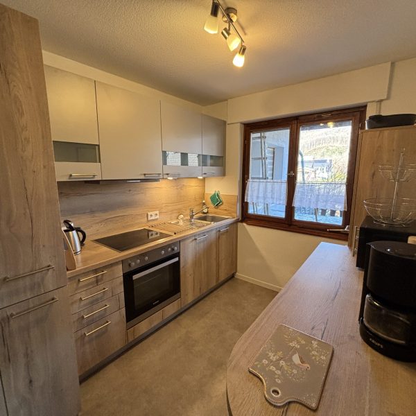 Küche mit Kaffeemaschine, Mikrowelle, Wasserkocher, Spülmaschine und weiterer Ausstattung in der Ferienwohnung Eulennest