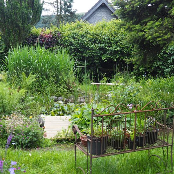 Aussicht aus der Ferienwohnung Gartenblick